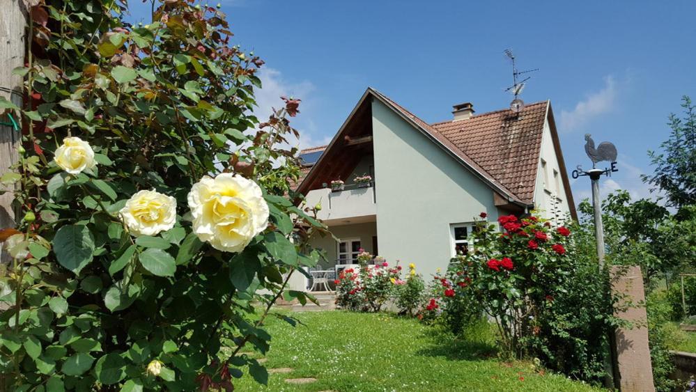 Le GM Chambres d'hôtes de charme en Alsace Mittelwihr Exterior foto